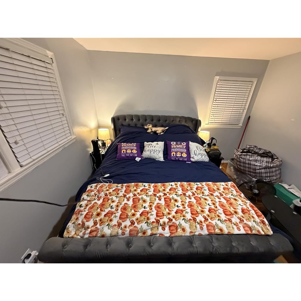 Queen Size Upholstered Sleigh Bed Frame with Wingback Headboard