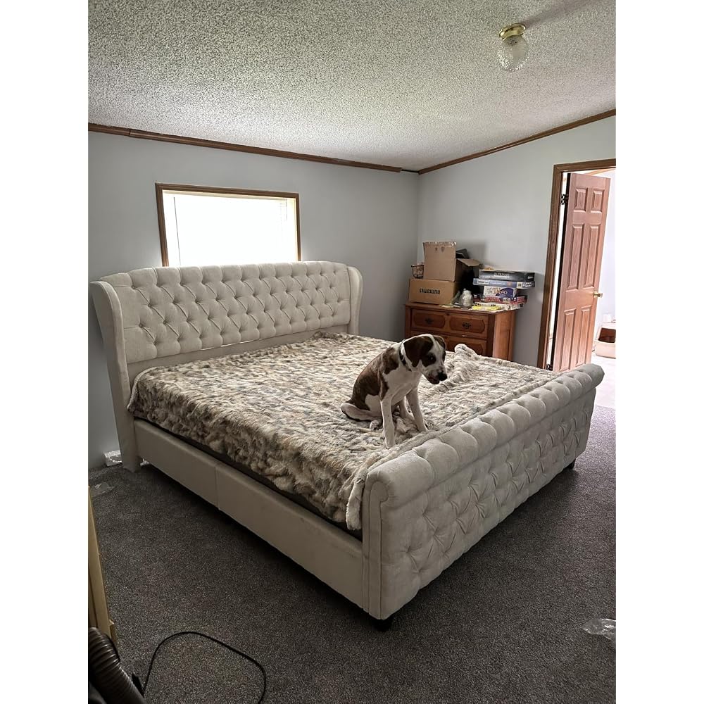 Queen Size Upholstered Sleigh Bed Frame with Wingback Headboard